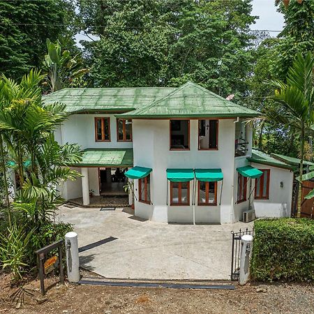 The Jungle Inn Dominicalito Eksteriør bilde