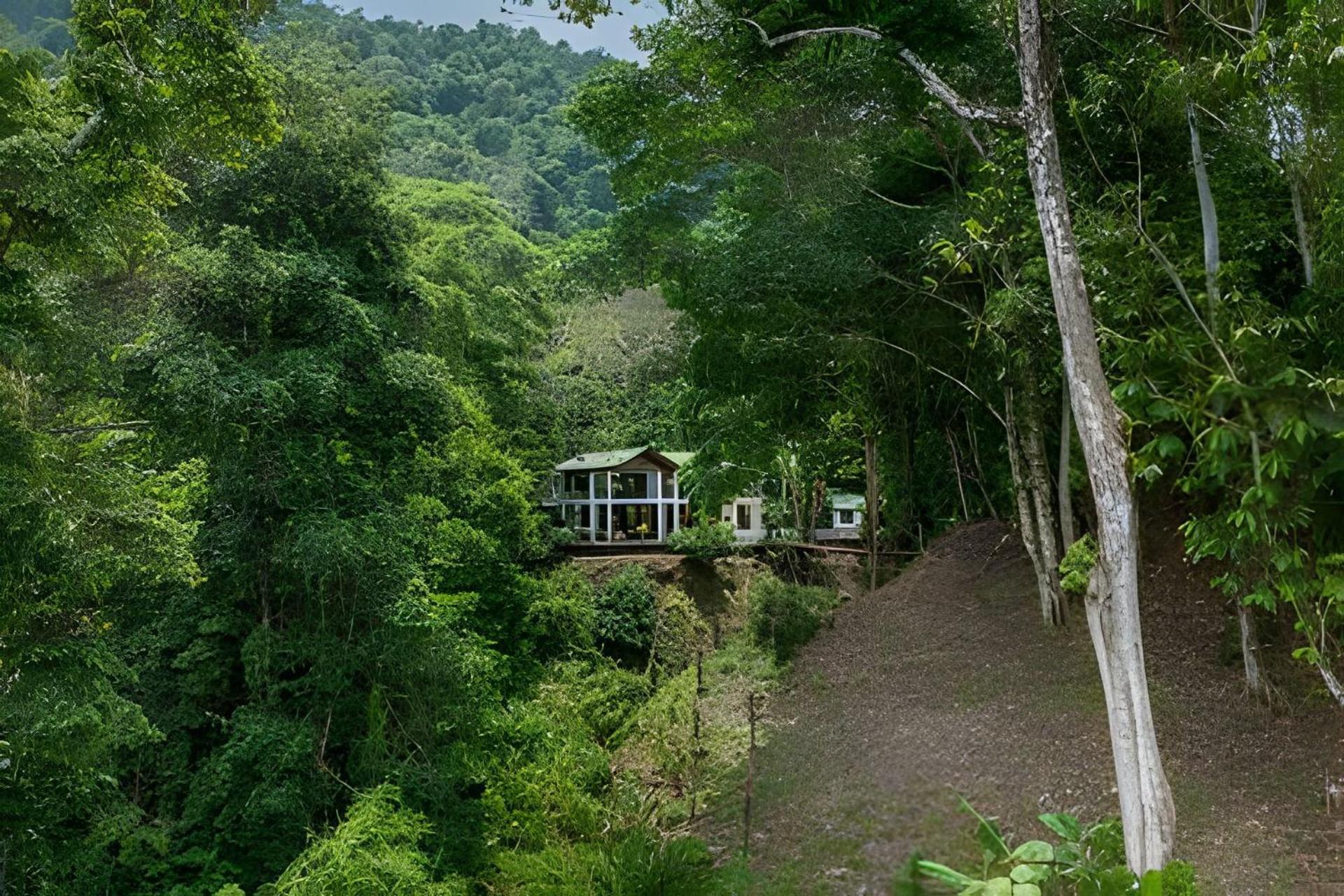 The Jungle Inn Dominicalito Eksteriør bilde